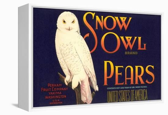 Snow Owl Pear Label-null-Framed Stretched Canvas