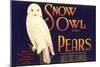 Snow Owl Pear Label-null-Mounted Art Print