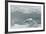 Snow Petrel-Joe McDonald-Framed Photographic Print