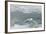 Snow Petrel-Joe McDonald-Framed Photographic Print