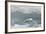 Snow Petrel-Joe McDonald-Framed Photographic Print