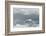 Snow Petrel-Joe McDonald-Framed Photographic Print