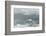 Snow Petrel-Joe McDonald-Framed Photographic Print