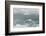 Snow Petrel-Joe McDonald-Framed Photographic Print