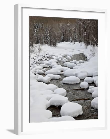 Snow Pillows on the Dolores River, San Juan National Forest, Colorado, USA, North America-James Hager-Framed Photographic Print