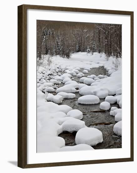 Snow Pillows on the Dolores River, San Juan National Forest, Colorado, USA, North America-James Hager-Framed Photographic Print