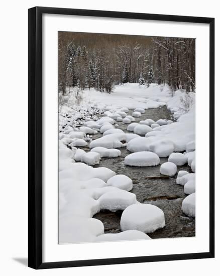 Snow Pillows on the Dolores River, San Juan National Forest, Colorado, USA, North America-James Hager-Framed Photographic Print