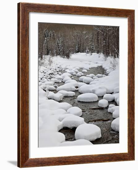 Snow Pillows on the Dolores River, San Juan National Forest, Colorado, USA, North America-James Hager-Framed Photographic Print