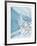 Snow Rabbit-Allen Friedman-Framed Collectable Print