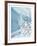 Snow Rabbit-Allen Friedman-Framed Collectable Print