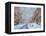 Snow, Remsen St. Brooklyn NY, 2012-Anthony Butera-Framed Premier Image Canvas