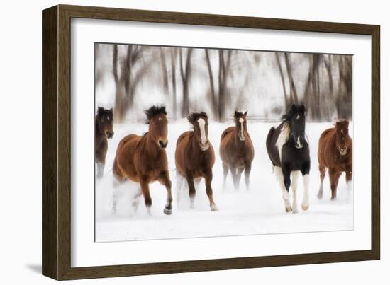 Snow Run I-PHBurchett-Framed Art Print