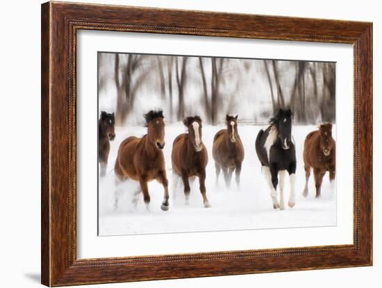 Snow Run I-PHBurchett-Framed Art Print