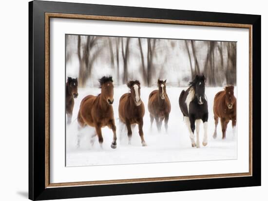 Snow Run I-PHBurchett-Framed Art Print