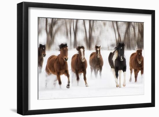 Snow Run I-PHBurchett-Framed Art Print