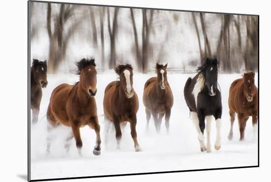 Snow Run I-PHBurchett-Mounted Art Print