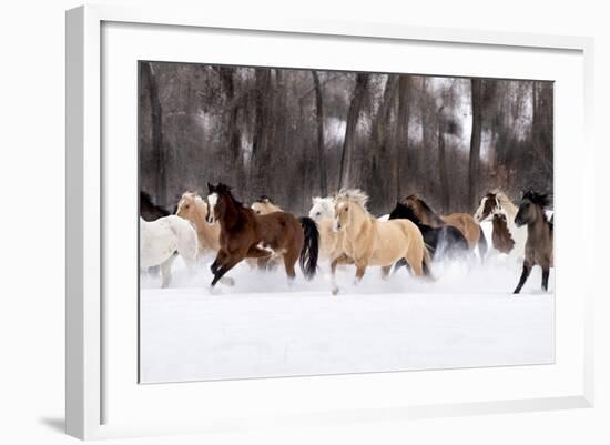 Snow Run II-PHBurchett-Framed Art Print