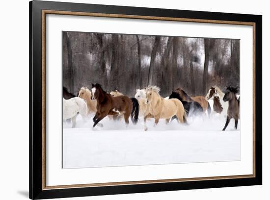Snow Run II-PHBurchett-Framed Art Print