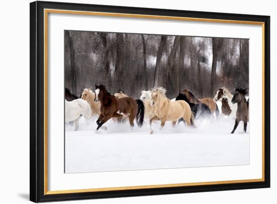 Snow Run II-PHBurchett-Framed Art Print