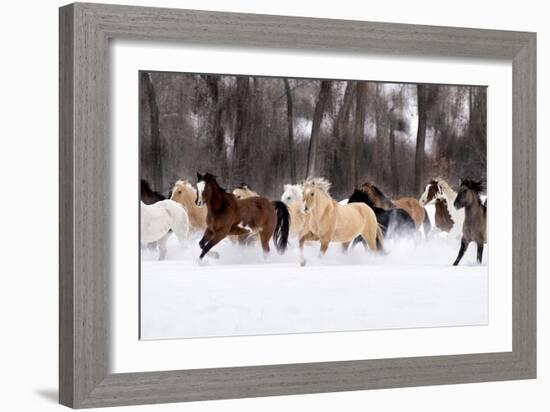 Snow Run II-PHBurchett-Framed Art Print