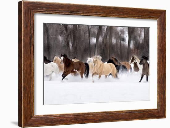 Snow Run II-PHBurchett-Framed Art Print