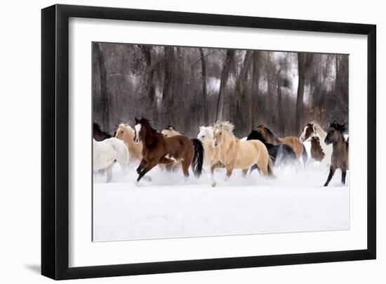 Snow Run II-PHBurchett-Framed Art Print