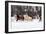 Snow Run II-PHBurchett-Framed Art Print