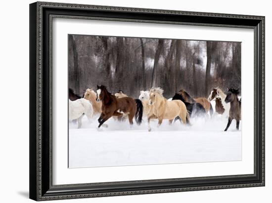 Snow Run II-PHBurchett-Framed Art Print