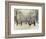 Snow Scene in the Kongens Nytorv, Copenhagen-Paul Fischer-Framed Giclee Print