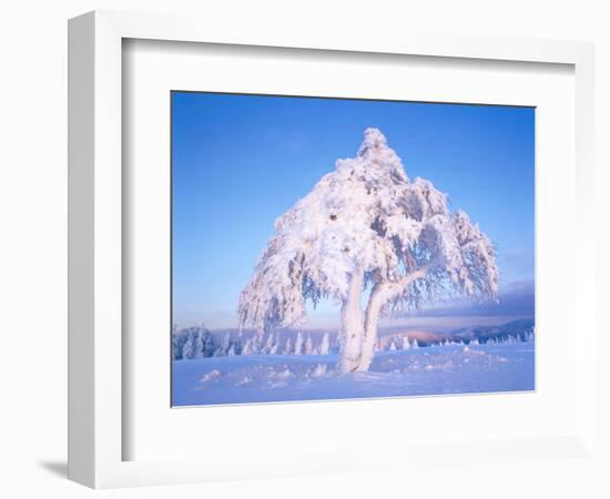 Snow scene in winter-Herbert Kehrer-Framed Photographic Print
