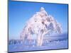 Snow scene in winter-Herbert Kehrer-Mounted Photographic Print