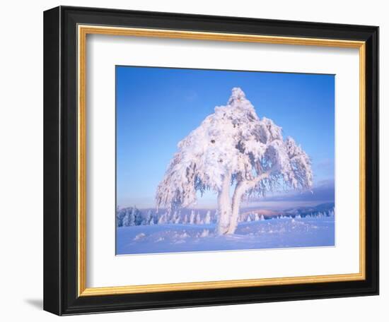 Snow scene in winter-Herbert Kehrer-Framed Photographic Print