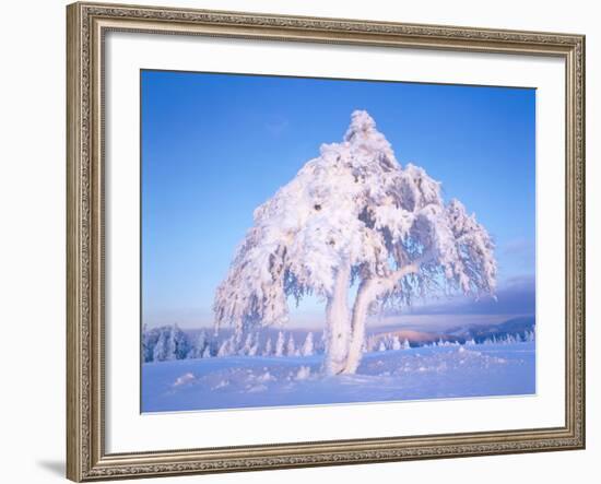 Snow scene in winter-Herbert Kehrer-Framed Photographic Print