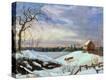 Stretched Canvas Print