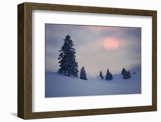 Snow Scenery, Conifers, the Sun, Cloudies, Dusk, Germany, Winter Scenery, Trees, Snow, Frost-Herbert Kehrer-Framed Photographic Print