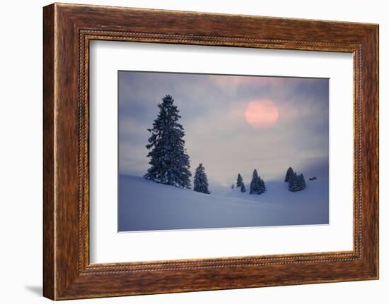 Snow Scenery, Conifers, the Sun, Cloudies, Dusk, Germany, Winter Scenery, Trees, Snow, Frost-Herbert Kehrer-Framed Photographic Print