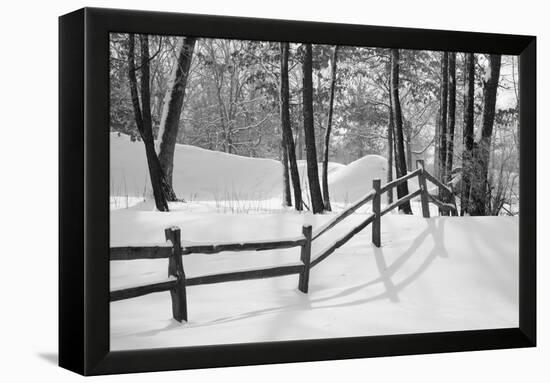 Snow Scenes 24-Monte Nagler-Framed Premier Image Canvas