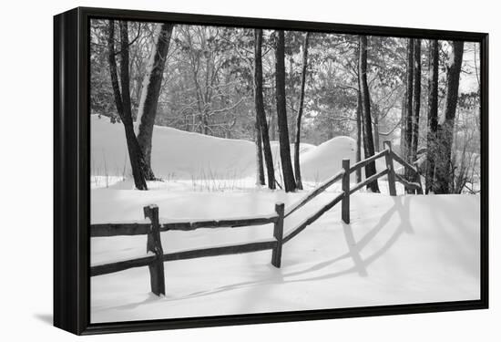 Snow Scenes 24-Monte Nagler-Framed Premier Image Canvas