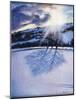 Snow Shadows, 2009-Tilly Willis-Mounted Giclee Print