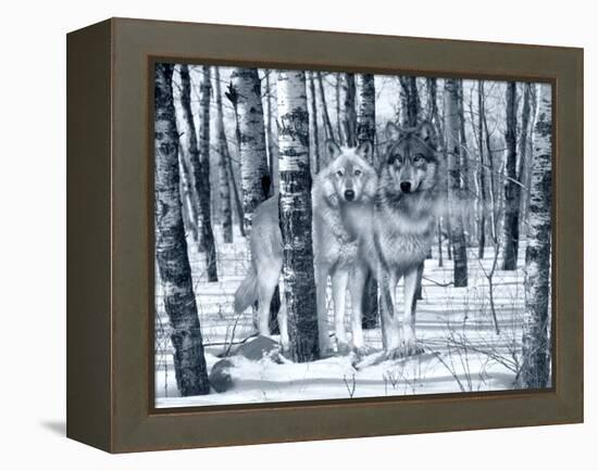 Snow Shadows Silvertones-Gordon Semmens-Framed Premier Image Canvas