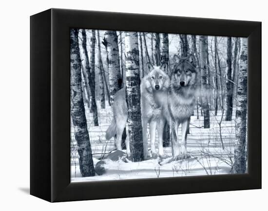 Snow Shadows Silvertones-Gordon Semmens-Framed Premier Image Canvas