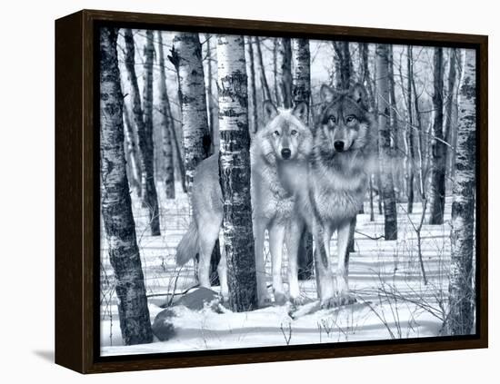 Snow Shadows Silvertones-Gordon Semmens-Framed Premier Image Canvas