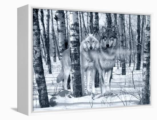 Snow Shadows Silvertones-Gordon Semmens-Framed Premier Image Canvas