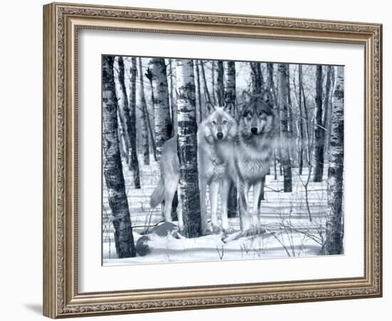 Snow Shadows Silvertones-Gordon Semmens-Framed Photographic Print