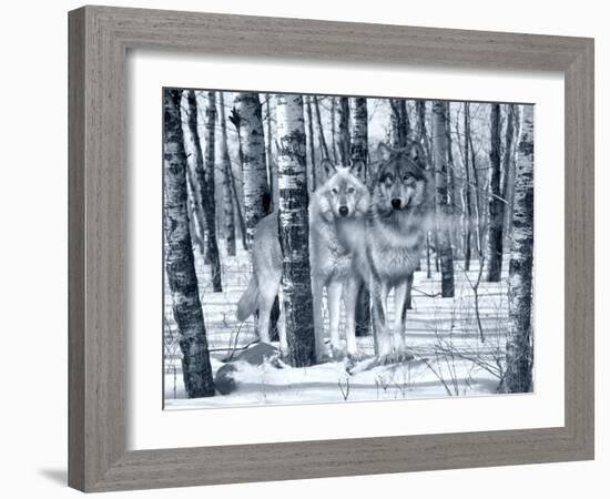 Snow Shadows Silvertones-Gordon Semmens-Framed Photographic Print