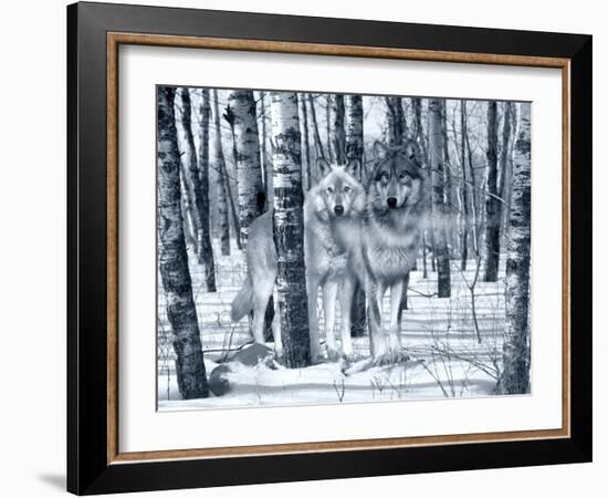 Snow Shadows Silvertones-Gordon Semmens-Framed Photographic Print