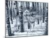Snow Shadows Silvertones-Gordon Semmens-Mounted Photographic Print