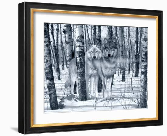 Snow Shadows Silvertones-Gordon Semmens-Framed Photographic Print