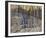 Snow Shadows-Tom Thomson-Framed Giclee Print