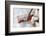 Snow shovel, snow, wood pile, detail, medium close-up, blur-Martin Ley-Framed Photographic Print